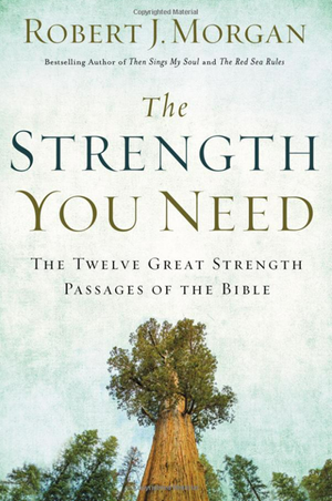 The Strength You Need